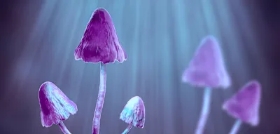 Das &uuml;berraschende Potenzial von psychedelischen Pilzen f&uuml;r die Krebstherapie