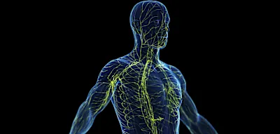 Die oft untersch&auml;tzten Risiken einer Sepsis &ndash; und wie man sie erkennt