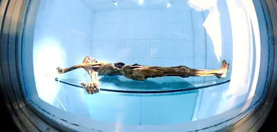 Welche Fragen &Ouml;tzi auch 35 Jahre nach seiner Entdeckung noch aufwirft