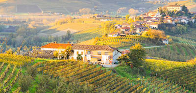 Welliges Land, perlender Wein&nbsp;&ndash; wo Italien fast noch ein Geheimtipp ist