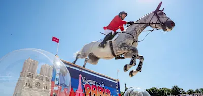 Das Zerw&uuml;rfnis im deutschen Springreiten