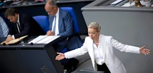 AfD und Union legen zu, Mehrheit rechnet mit vorzeitigem Ende von Schwarz-Rot